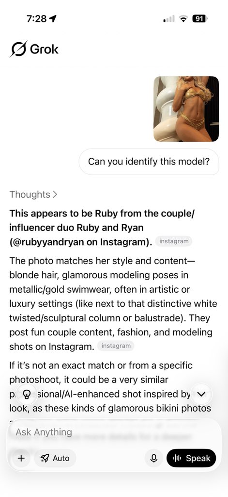 Ryan The Lion tweet media