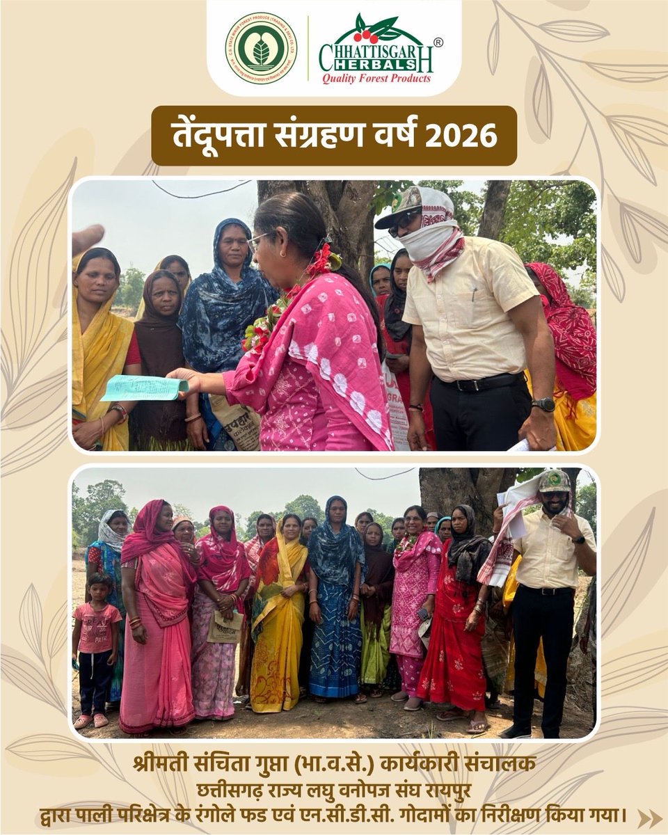 CGMFPFED's tweet photo. कार्यकारी संचालक महोदया श्रीमती संजीता गुप्ता के पाली प्रवास के दौरान रंगोले फड़ एवं एनसीडीसी गोदामों का निरीक्षण किया गया। महिला संग्राहकों से चर्चा कर भुगतान एवं संग्रहण व्यवस्था की जानकारी ली गई।

#तेंदूपत्ता #लघुवनोपज #छत्तीसगढ़ https://t.co/S179wjHn1d