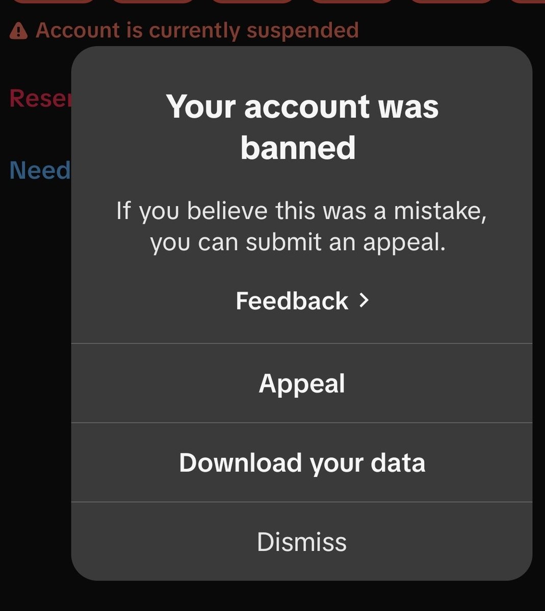 reesa ✨️ tweet media