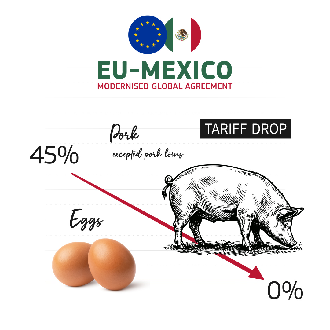 EU Trade 🇪🇺 tweet media