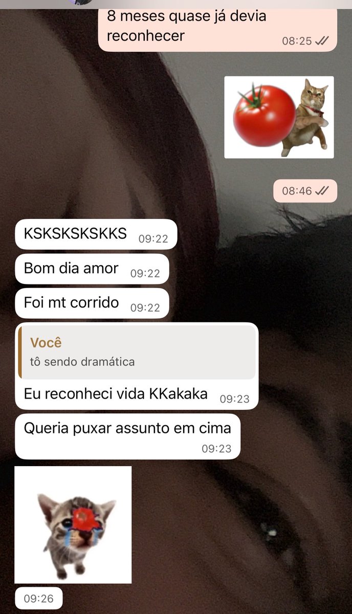 aninha da silva sykes vai ver korn 16/05!!! tweet media