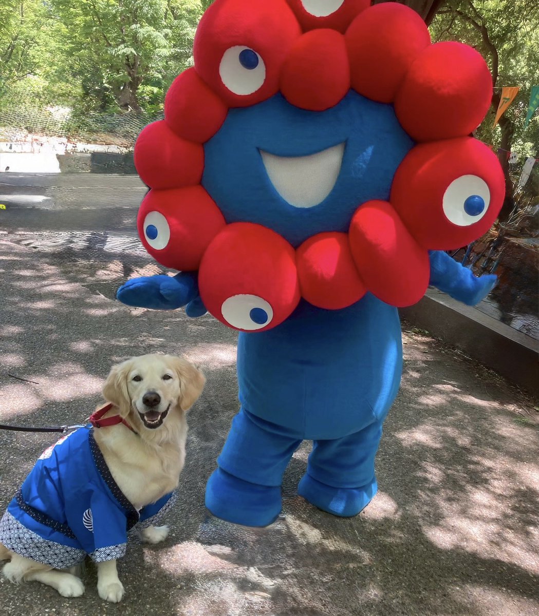 兵庫介助犬協会・千葉介助犬協会・大阪介助犬協会の日常🐶♿︎ tweet media