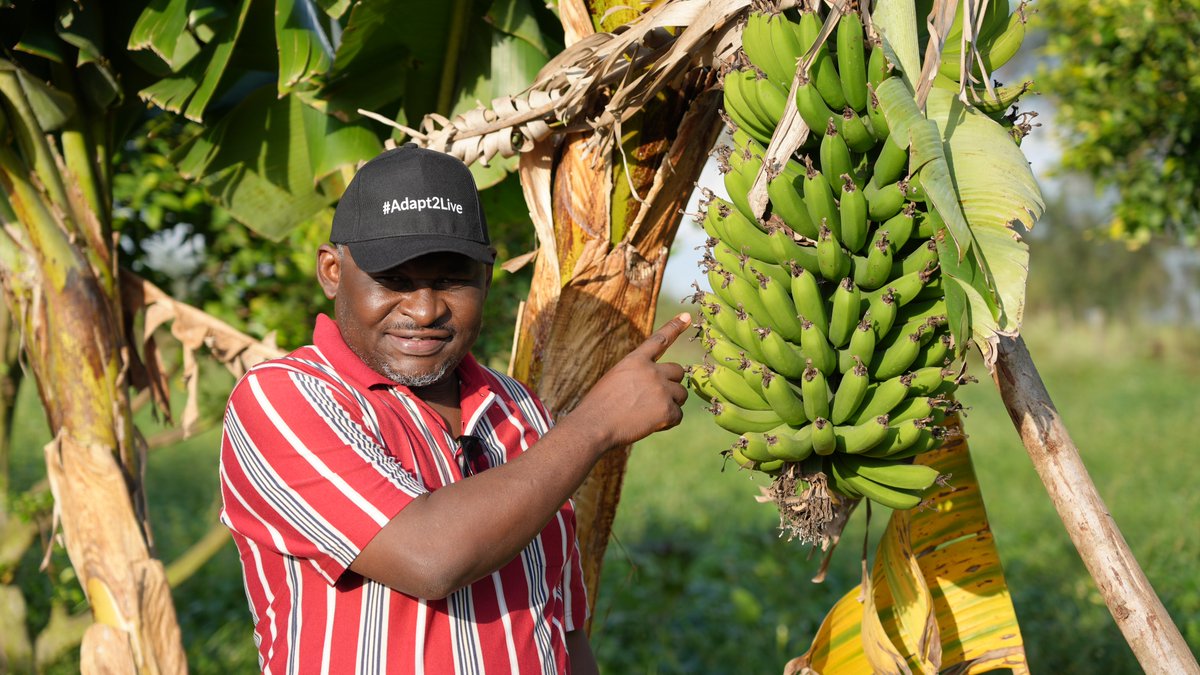 PowerShftAfrica's tweet photo. FOOD SOVEREIGNTY is the backbone of Africa's climate adaptation 

#FoodSovereignty is the right of communities to control how food is grown, shared, and consumed in ways that are sustainable, culturally meaningful, and #resilient to climate change. Across Africa, communities are already leading solutions that protect #foodsystems and livelihoods in a changing climate. Because adaptation isn’t just about surviving — it’s about thriving. 
#FoodSovereignty #ClimateJustice #ClimateAdaptation