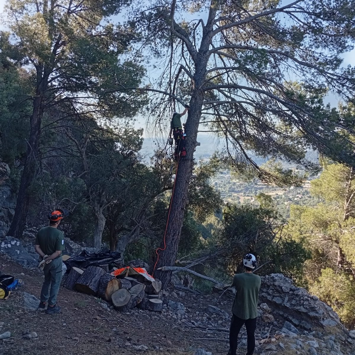 AgriculturaGOIB's tweet photo. L’@ibanat_IB col·labora en la conservació del patrimoni arqueològic de les Balears amb treballs de manteniment al jaciment de Sa Bastida

Actuació conjunta amb @ajuntamentalaro i Al Rum per preservar aquest espai històric i reduir el risc d’incendis i degradació de l’entorn https://t.co/PPc0ZTq4mf