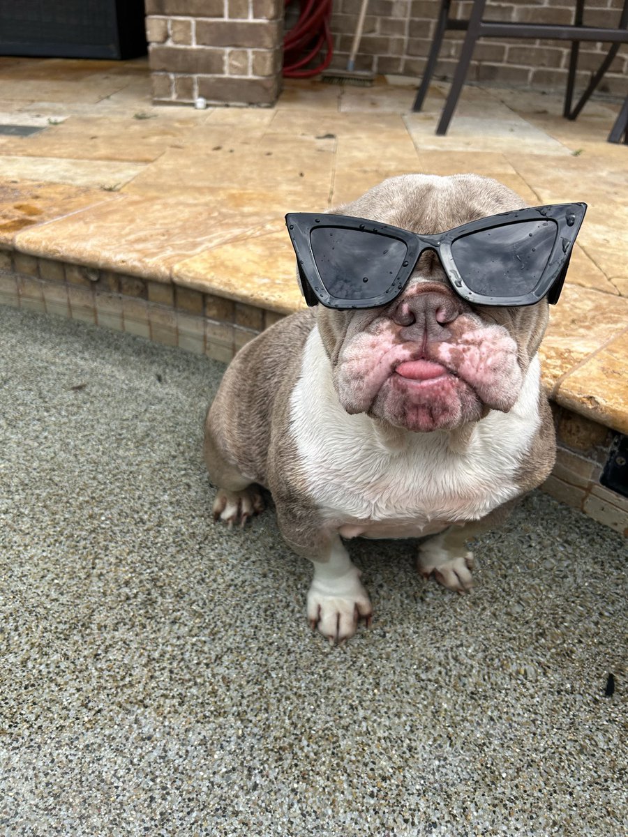 FIEND4DAMONEY's tweet photo. 🕶️Simply the Coolest https://t.co/mN4S5F0Dkr https://t.co/ZIhDdxwWs9