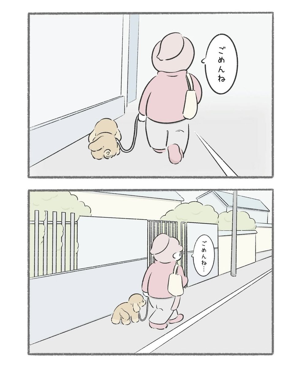 TEPESO(テペソ) tweet media