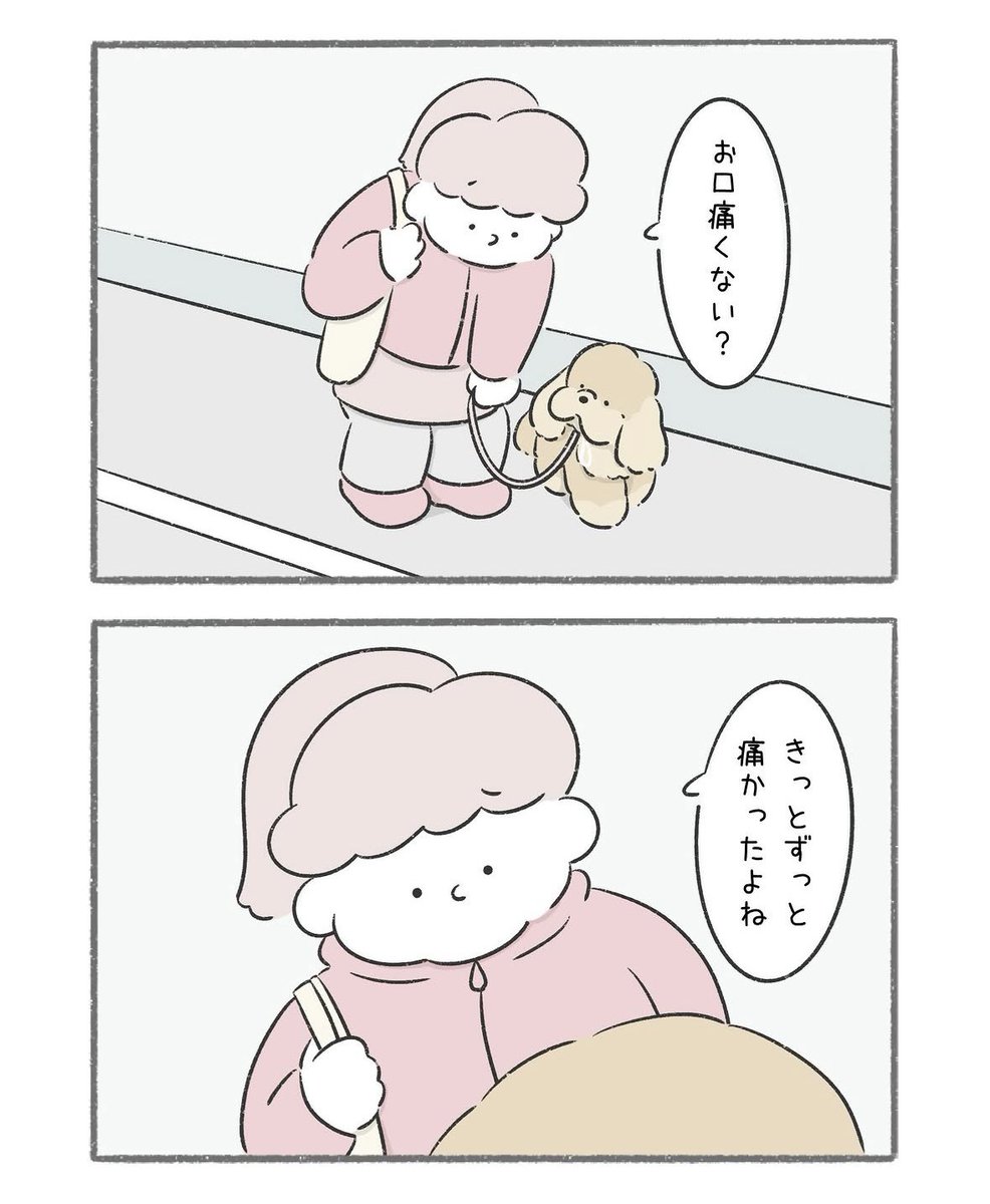 TEPESO(テペソ) tweet media