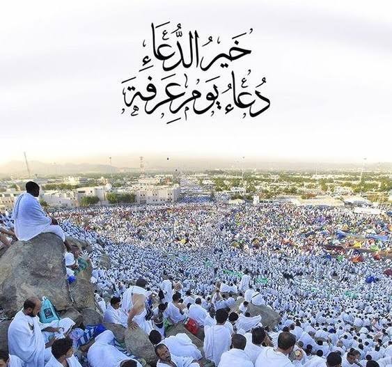 🦋حــيــــــــــــــــــاء🦋 tweet media