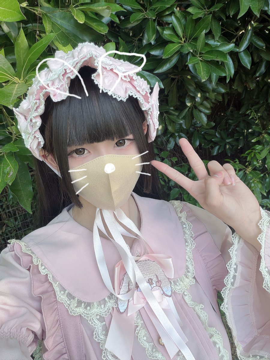 🎀もちてゃーにゃ様🧸 tweet media