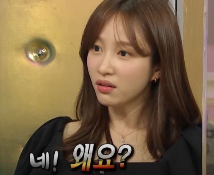 핫라 tweet media