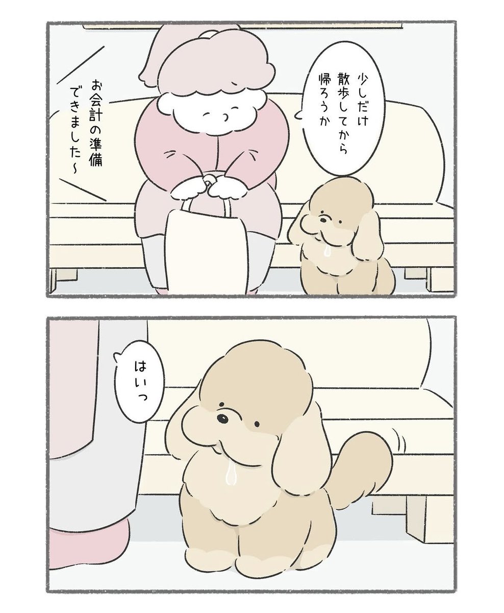 TEPESO(テペソ) tweet media