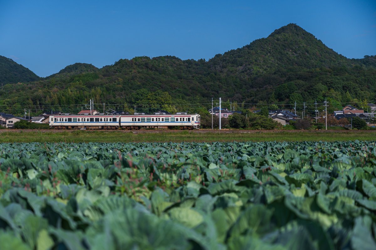 Nanso_Photo's tweet photo. ゆうパック https://t.co/WvoOaXGEvy