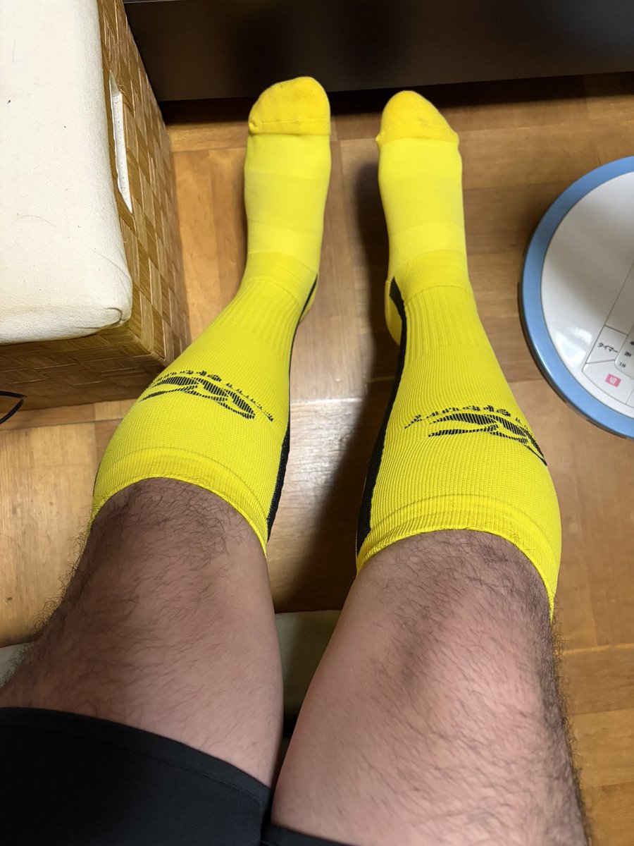 socksgamer's tweet photo. 🐝🏉 https://t.co/2bUpt2KCSH