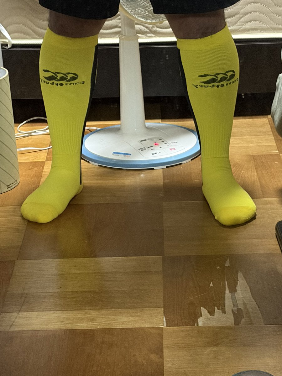 socksgamer's tweet photo. 🐝🏉 https://t.co/2bUpt2KCSH