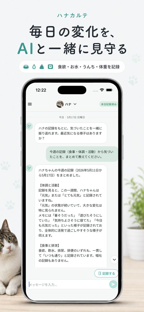 nk87@猫好きアプリ開発 tweet media