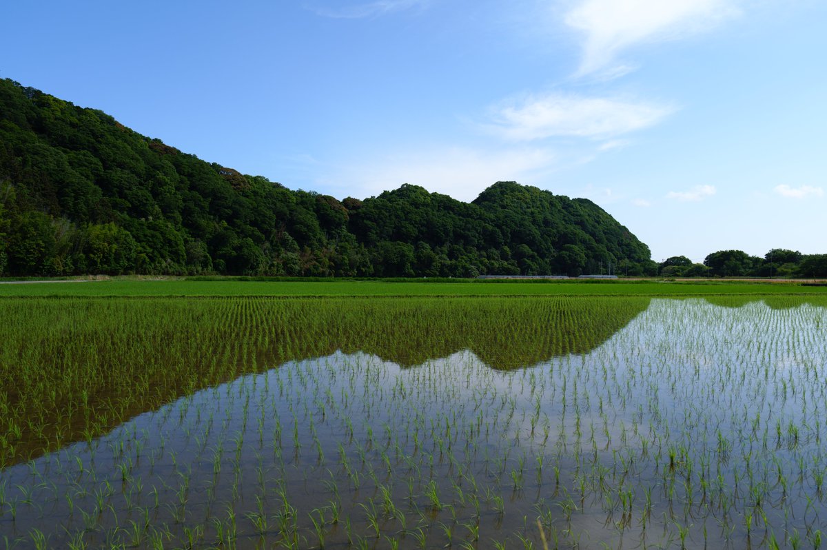 な tweet media