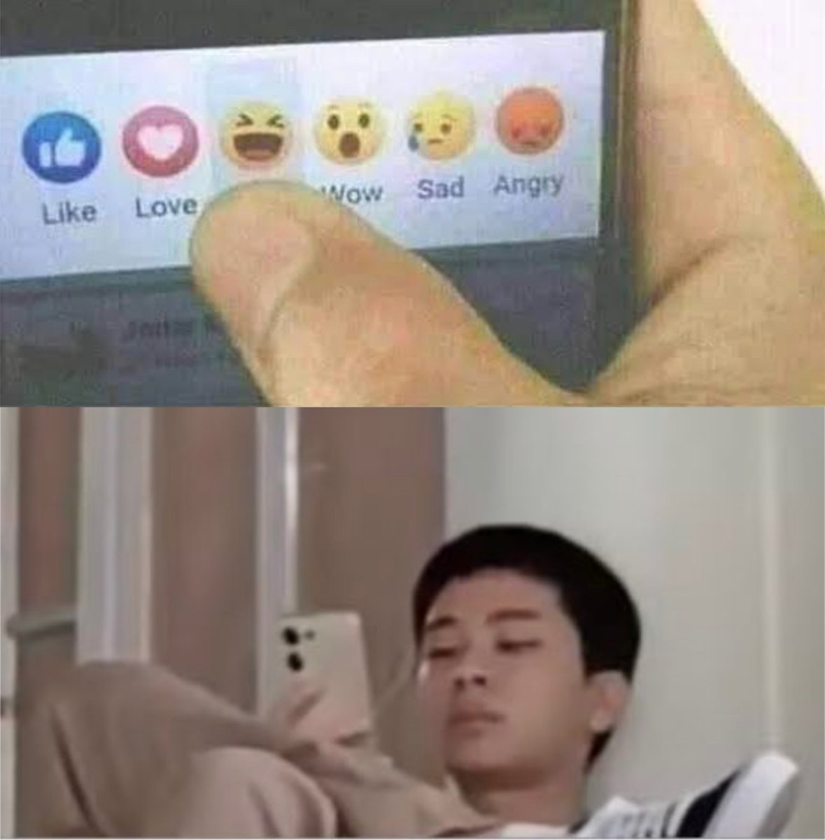owo 🦕 tweet media