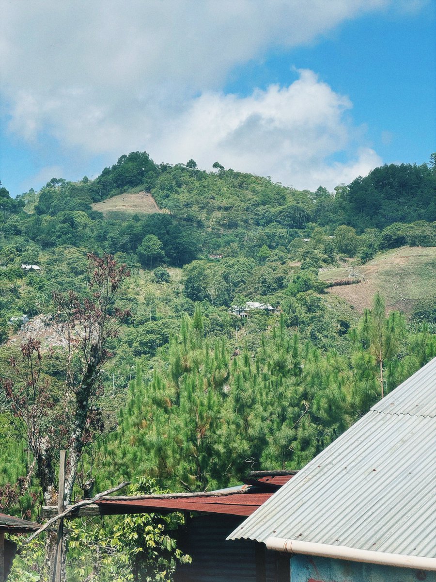 geodraw_'s tweet photo. YO ESPERO LOGRAR VIVIR UNA VIDA TRANQUILA https://t.co/sHARfo2QbQ