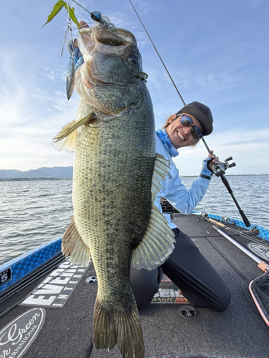 OKguide's tweet photo. 久しぶりの南湖をグルグルまわりながら季節の進行具合をチェック🎣🚤
ウィードの成長具合が例年より早いように感じたのでエビモジャングルになりかけの場所をジャングルウォーカー5/8ozで隙間をガンガン巻いていくと食い上げバイトで58💥⬆️
琵琶湖らしいエキサイティングな展開☺️ https://t.co/RC6hoHJx3Z