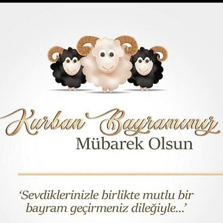 NalanESMERAY tweet media