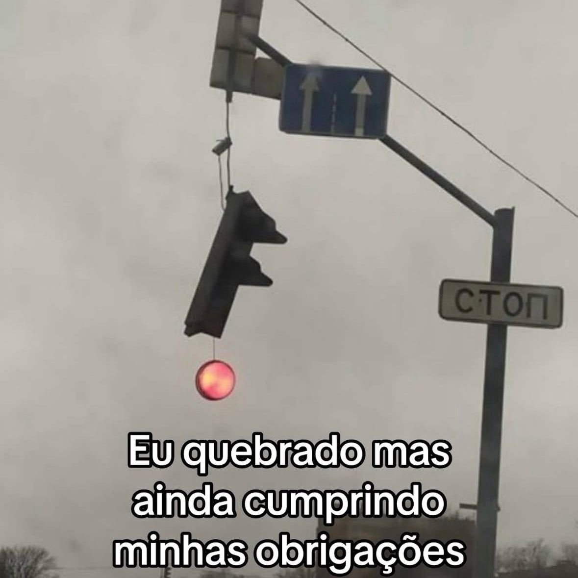 Traficante de Memes tweet media