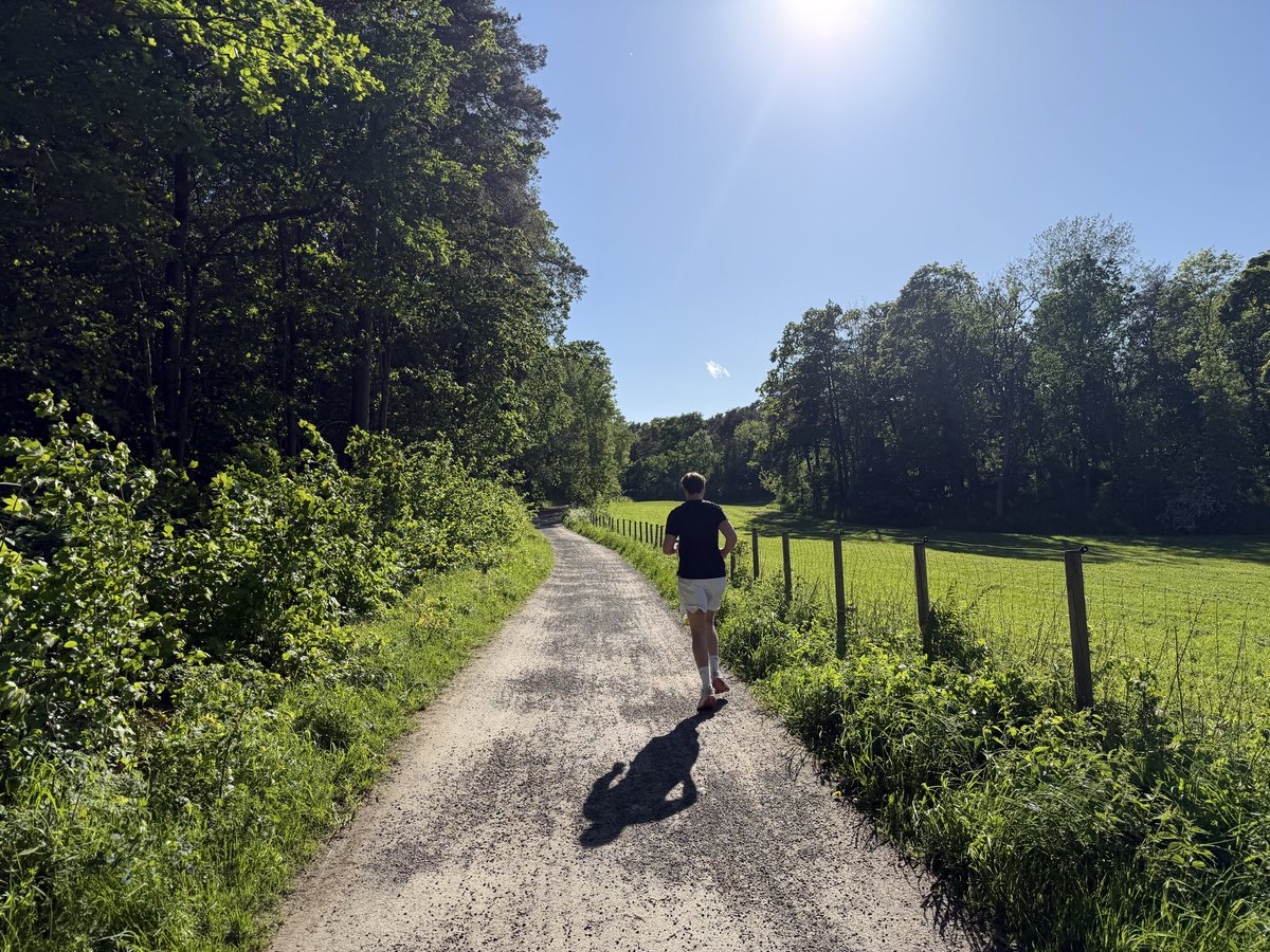 nyhrox tweet media