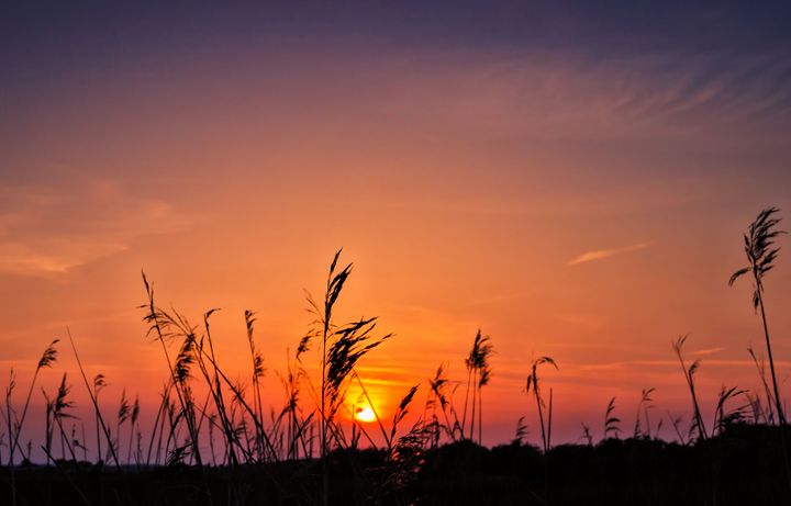 jez224's tweet photo. Art of the Day! "Marsh Sunset". Buy at: https://t.co/hq5rYta8vP https://t.co/Y3IItmKkqd