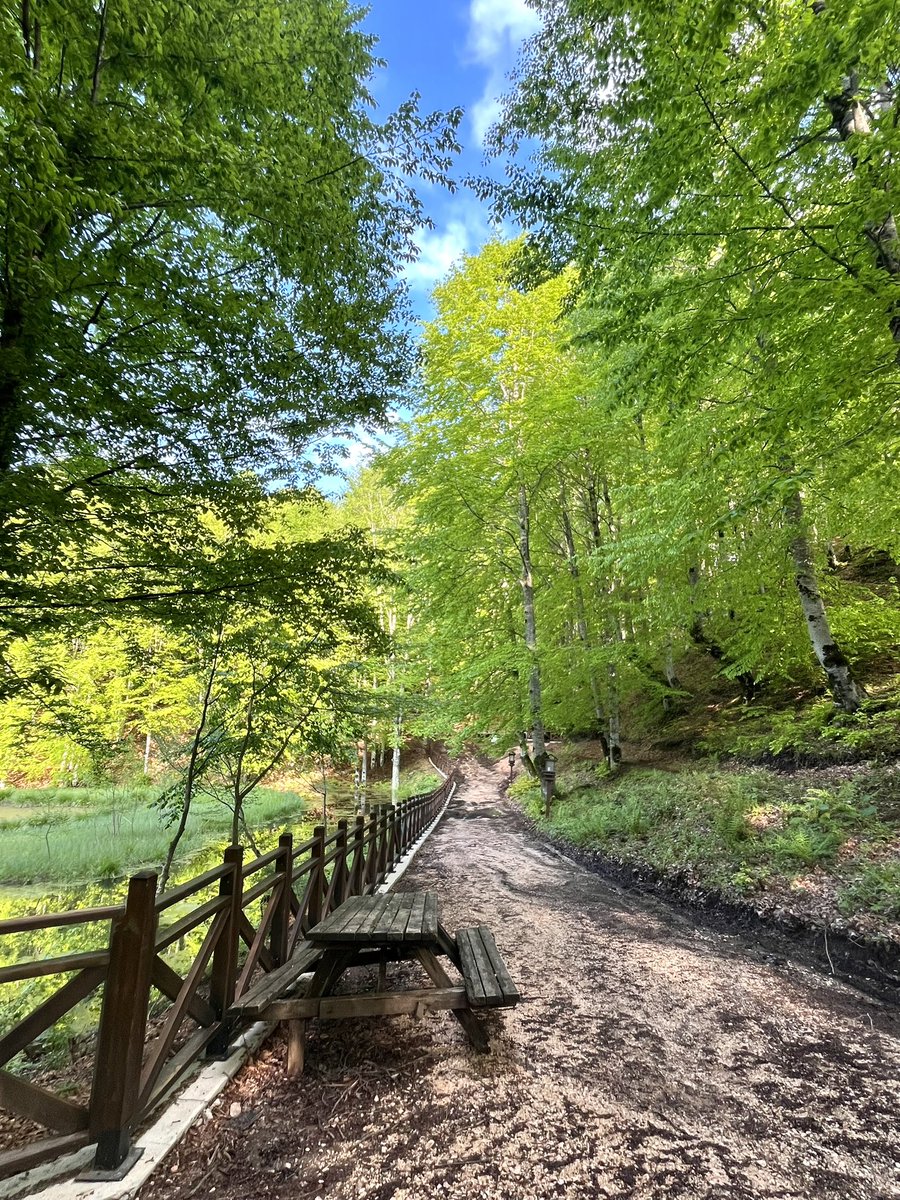 ummuuynk's tweet photo. 🌿☀️ https://t.co/ZBX0gh2THt