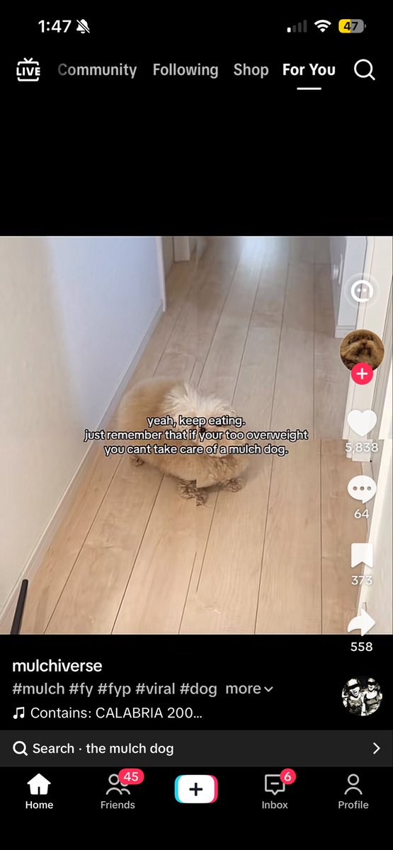 lulu tweet media