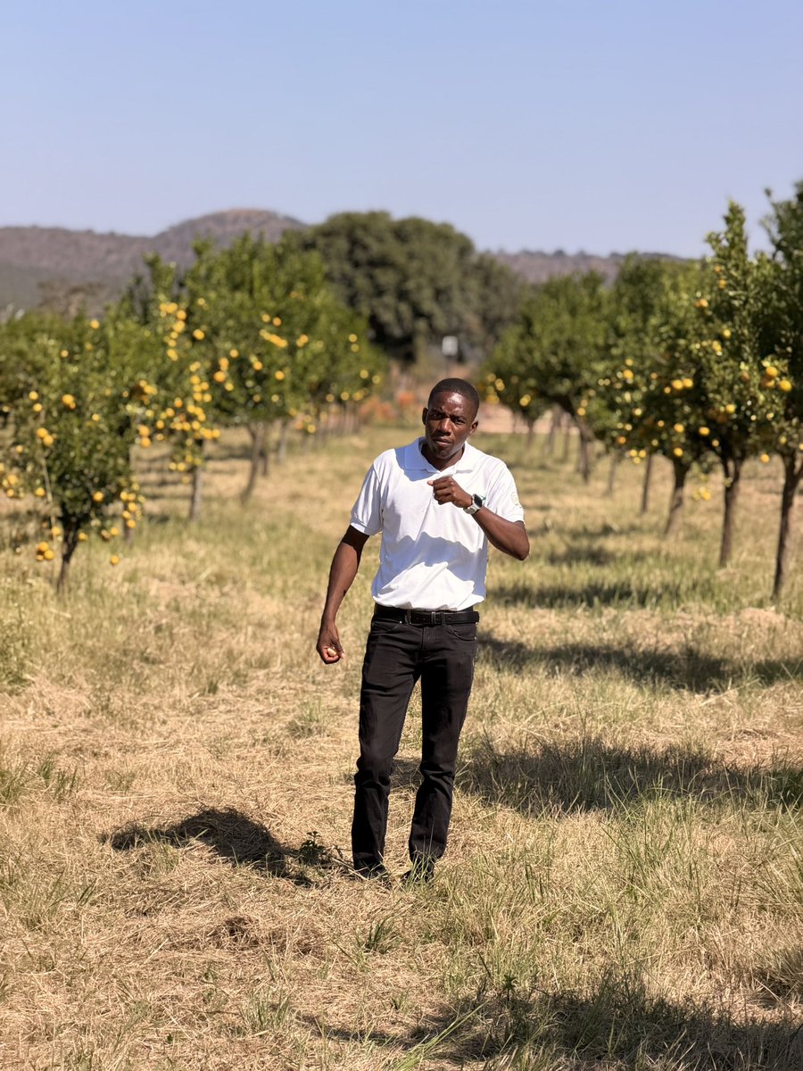 Forward Makasi-Snr. Agronomist🇿🇼 tweet media
