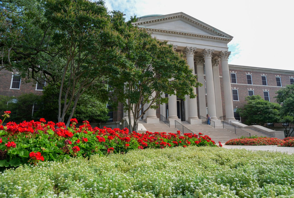 SMU's tweet photo. Summer on the Hilltop has entered the chat ☀️ https://t.co/yTbQTzIhcG
