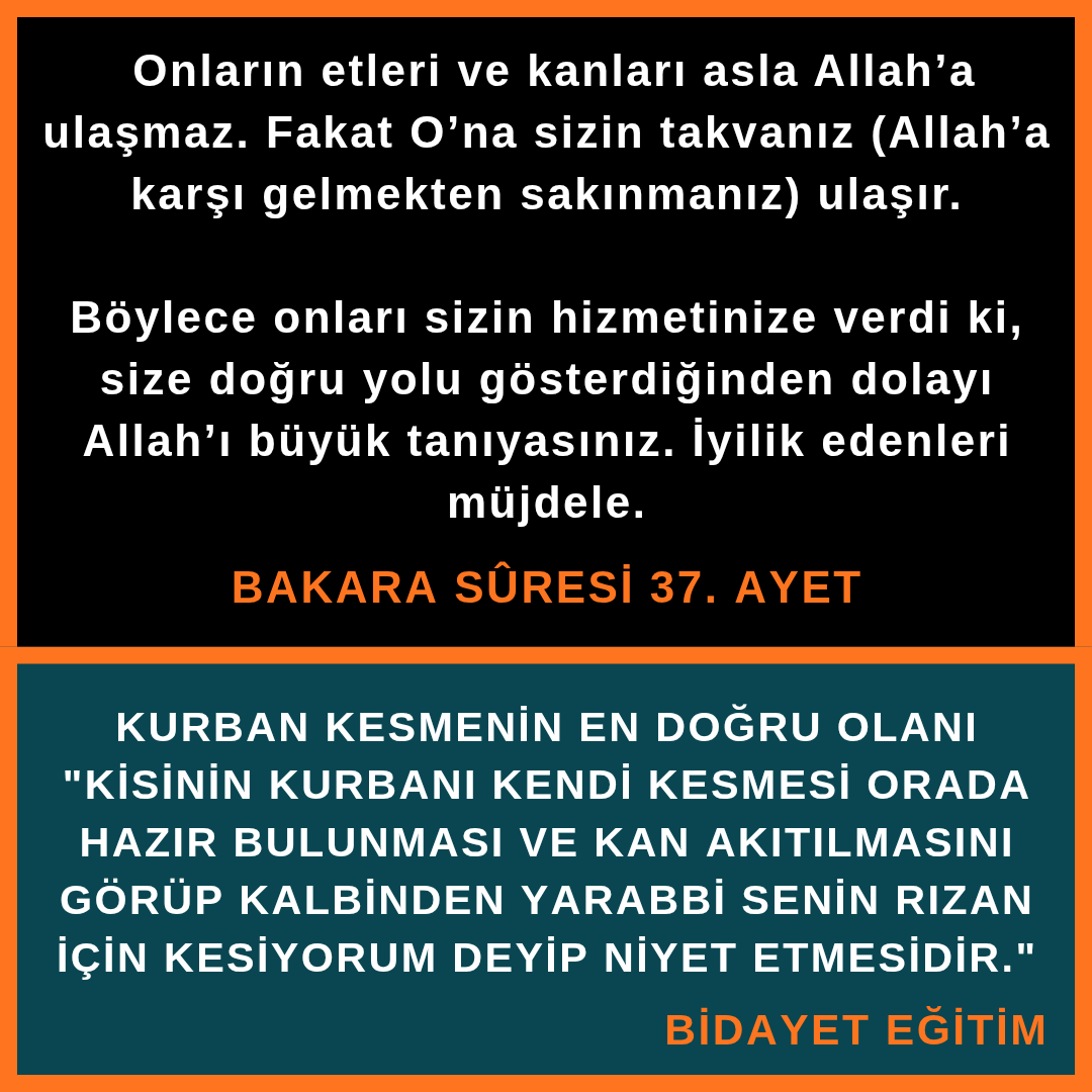 Adem___Kablan's tweet photo. https://t.co/hdbM2TMYYT