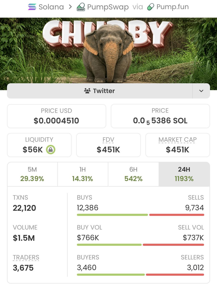 Sol Meme trader tweet media