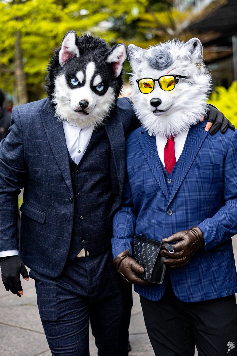Whiskey_1995's tweet photo. With @chiuwolf  !!
📸:@wolfnightsky https://t.co/ufAfByuj0o