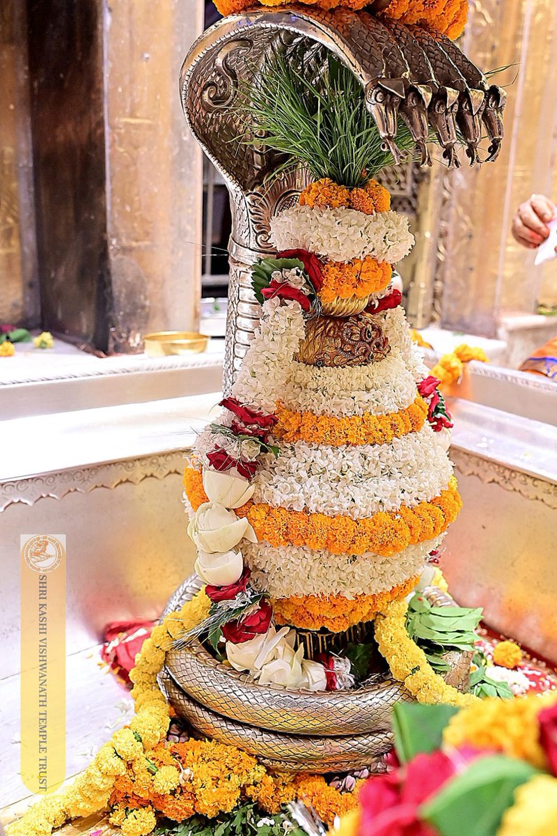 Shri Kashi Vishwanath Temple Trust tweet media