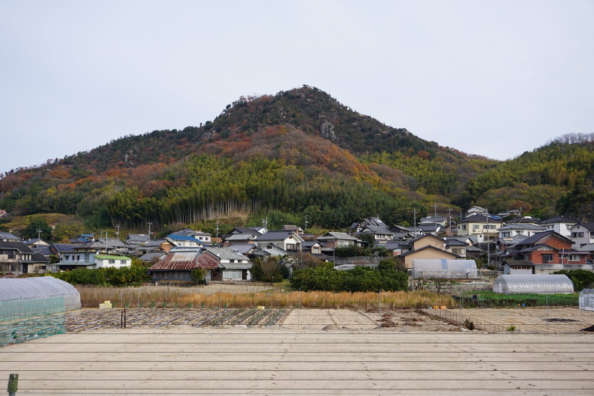 tgr_code tweet picture