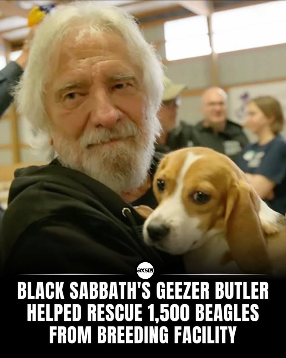 AXSTV's tweet photo. Black Sabbath bassist and lyricist Geezer Butler has joined a historic mission helping rehome 1,500 beagles rescued from a breeding farm in Wisconsin.

Source/Credit: Dane County Humane Society; Beagle Freedom Project; Geezer Butler visit coverage. https://t.co/DK5KQNTmF7