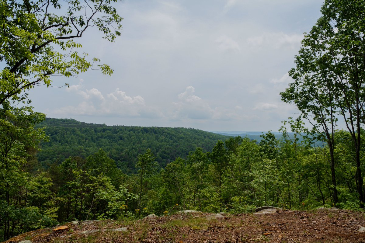 rivergorgeranch's tweet photo. These Tennessee mountain homesites are the perfect place to host your friends and family during sunset! https://t.co/We4AEJVfXe