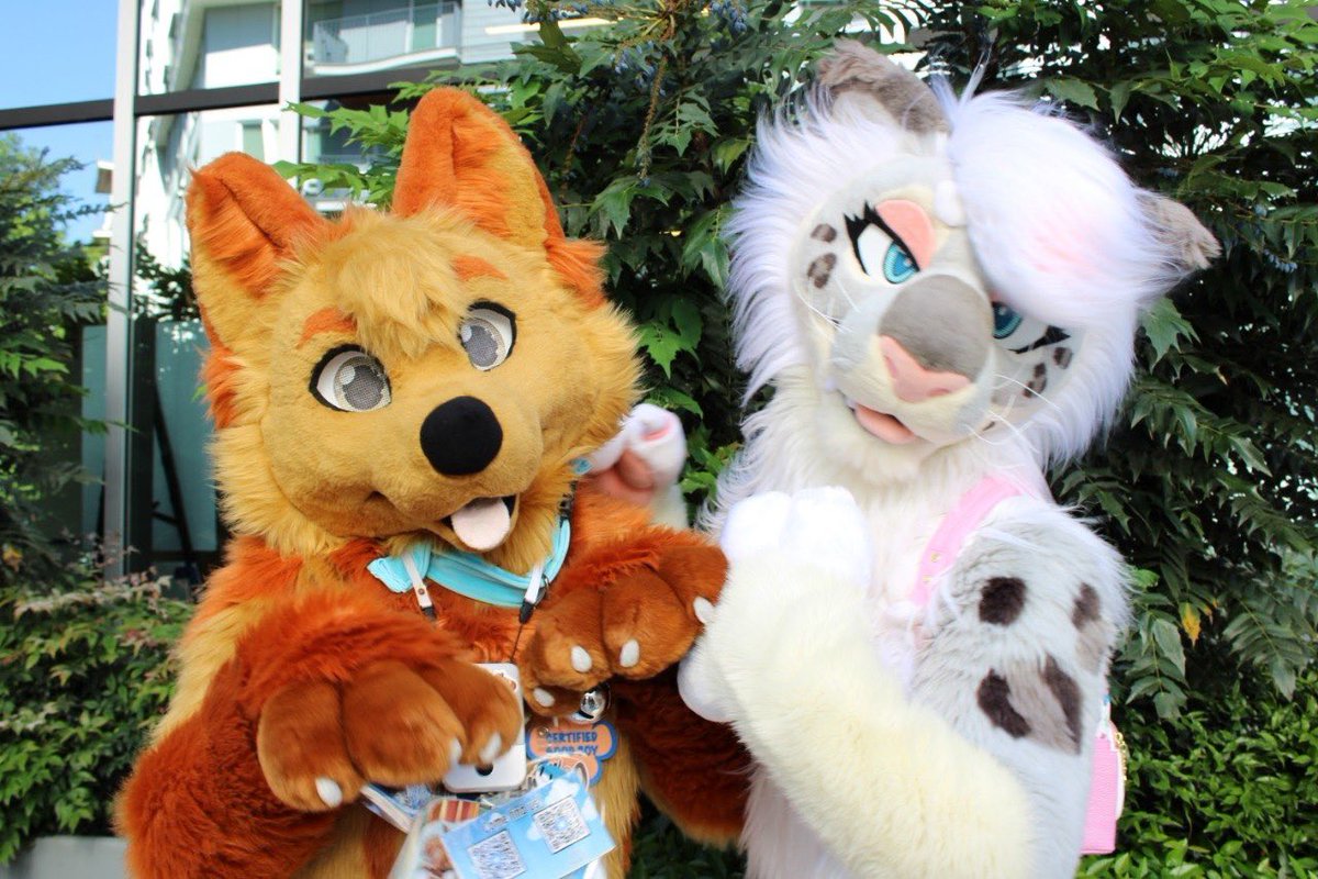 ThatMusicalDog's tweet photo. So happy to finally get pics with this absolute cutie @ChionSnep 

It was wonderful meeting you! 😁

Photos by @WinterDarkWolf 

#furlandia https://t.co/7LVxHZXpHG