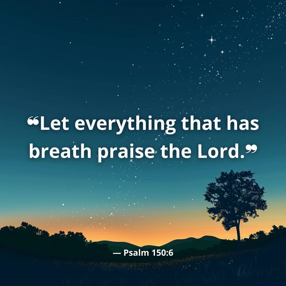 _kariwhite_'s tweet photo. "Let #everything that has #breath #praise the #Lord. Praise the Lord."

#Psalm 150:6 

From the depths of our #souls, let every #breath we take be a #testament to His #glory!🙌✨️👏

🙌#Jesus #God #HolySpirit #Miracles #Blessed #TrustInHim #Favor 
#pray #Glory #praise #Strength https://t.co/aLRolLEqOR