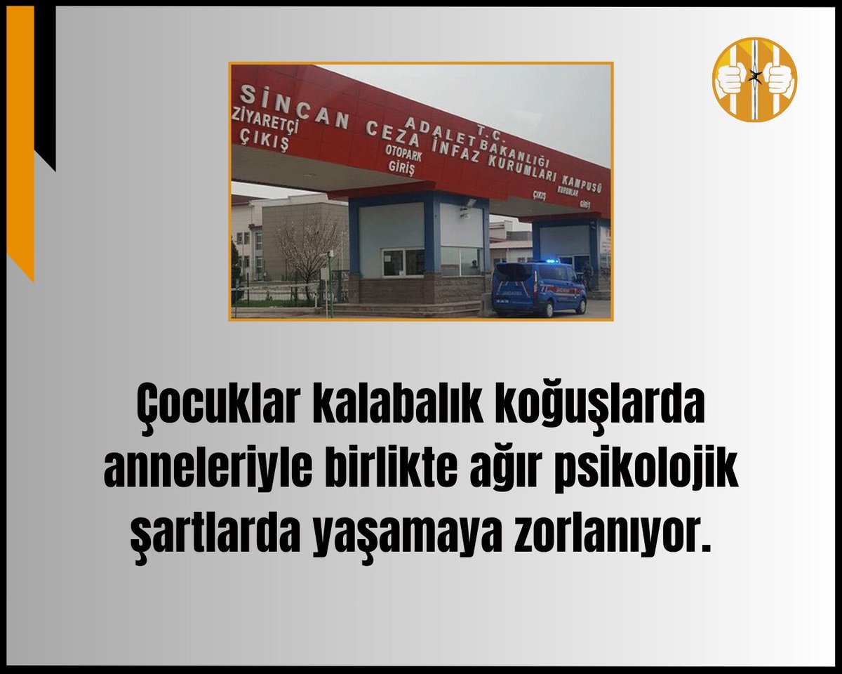 Celal tweet media
