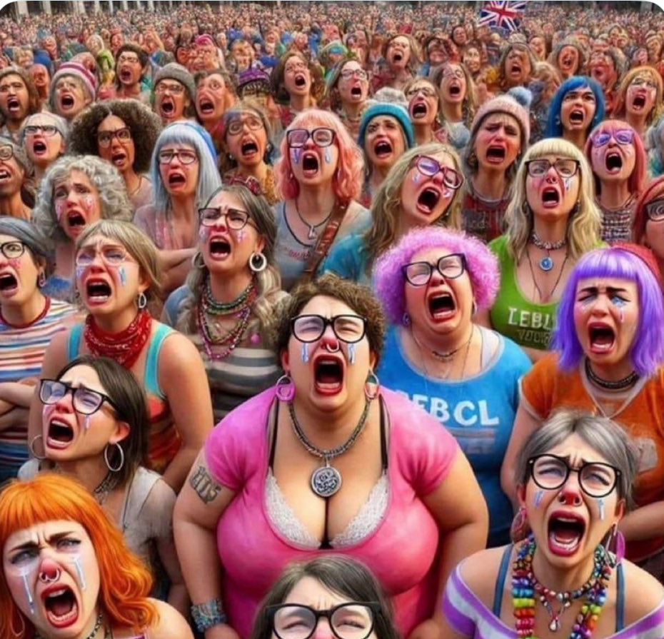 1st Generation 🇺🇸🇳🇴🇮🇪 tweet media