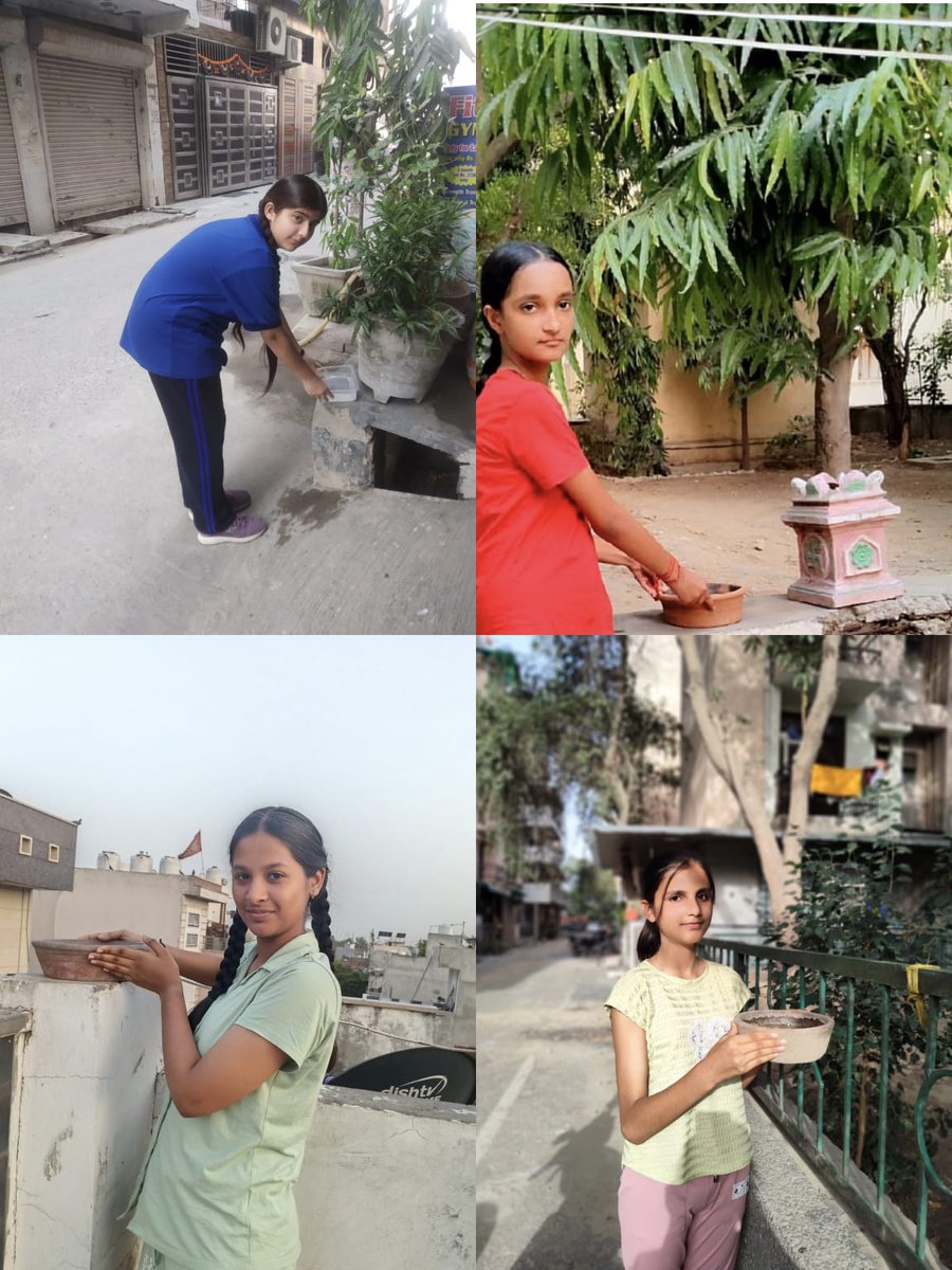 DavpeSchool's tweet photo. Under guidance of Principal Ms Sonia Malik, Interact Club Ray of Hope of the school actively participated in Project JALSEVA 2026 – "Beat the Heat", launched by District Interact Council, District 3011.@Rotary3011 @RIDistrict3011 @3011interact @NEP2020 @SDG2030 @peopleofaction https://t.co/aV65VTuQsT