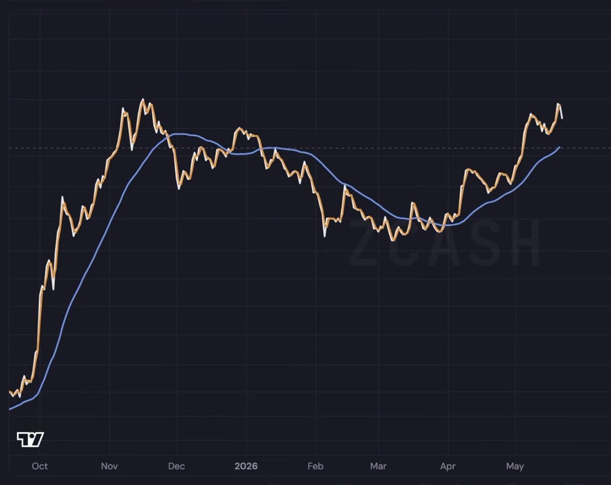 Gerhard (Bitcoin Strategy) tweet media