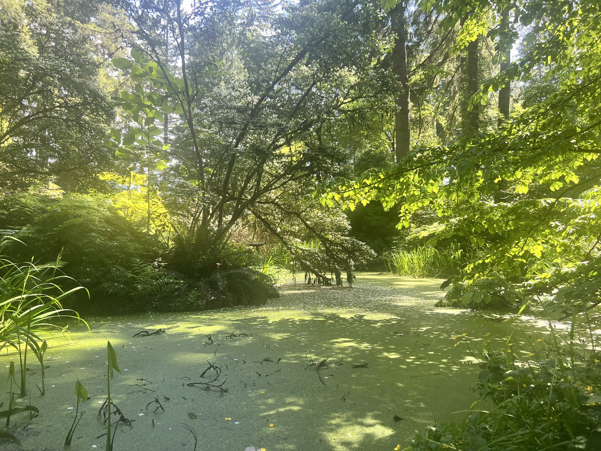 starsoar's tweet photo. went to the rhododendron botanical gardens this past weekend with my babygirl :) https://t.co/KBqUxJGRq0