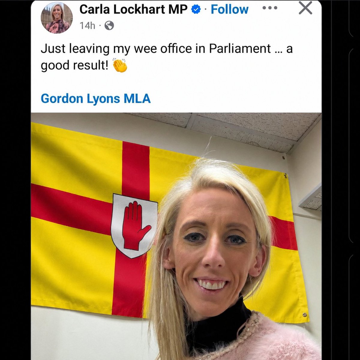 ScrewMcCaffrey 🇮🇪❤️🇵🇸 tweet media