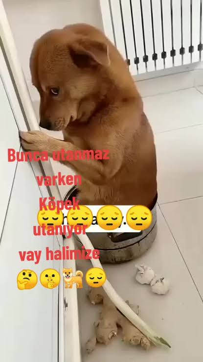 Ben yaptım oldu. tweet media