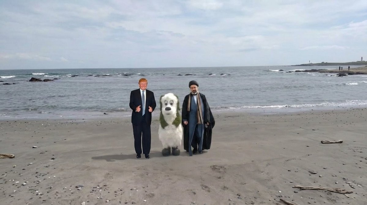 Barfing Pepe tweet media