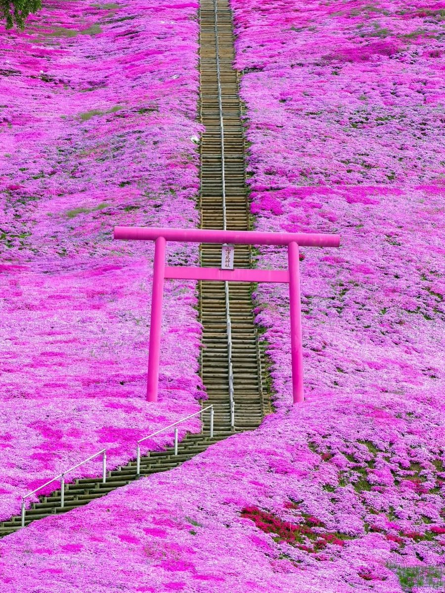 Wander Aesthetic tweet media