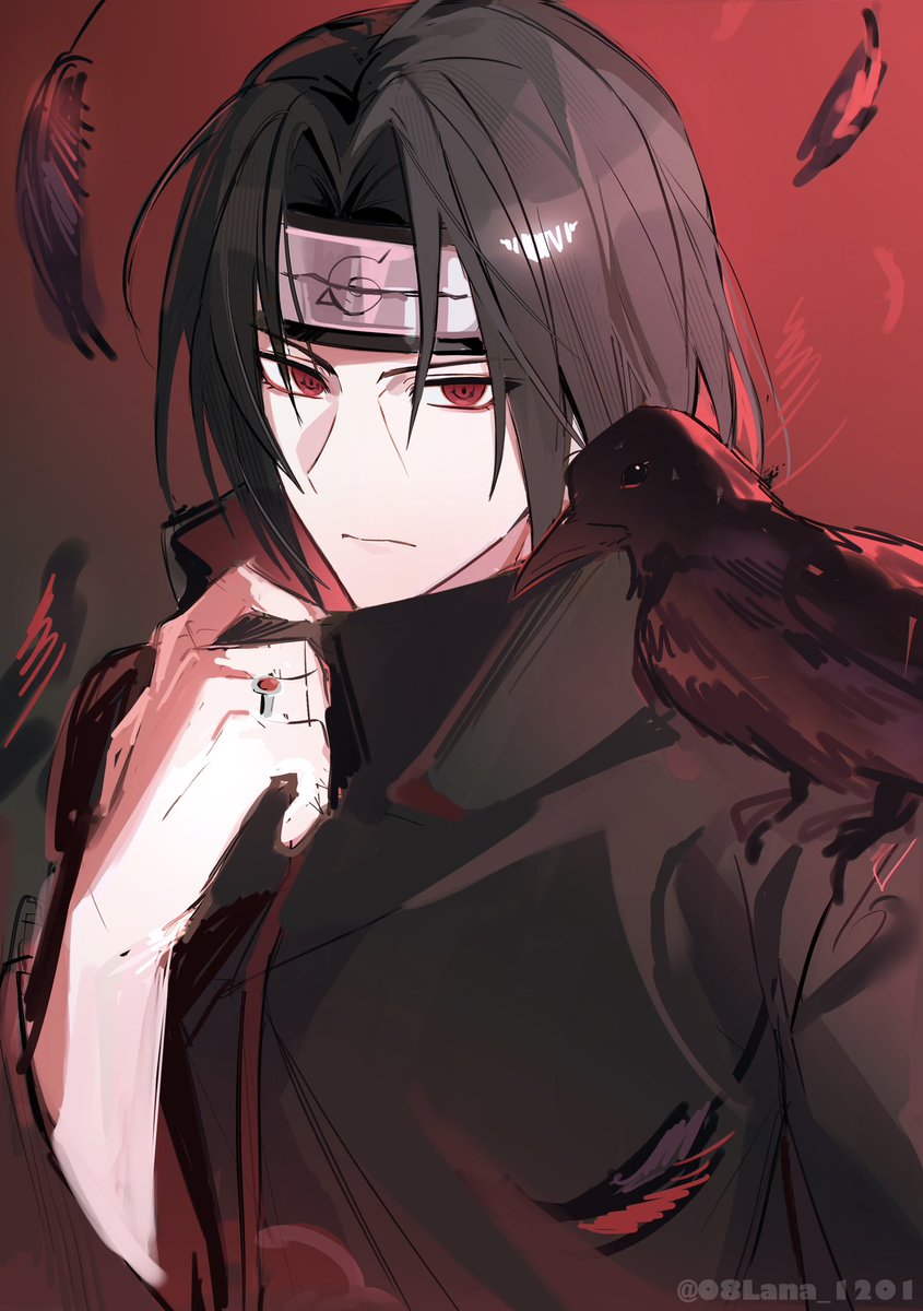 Laナ tweet media